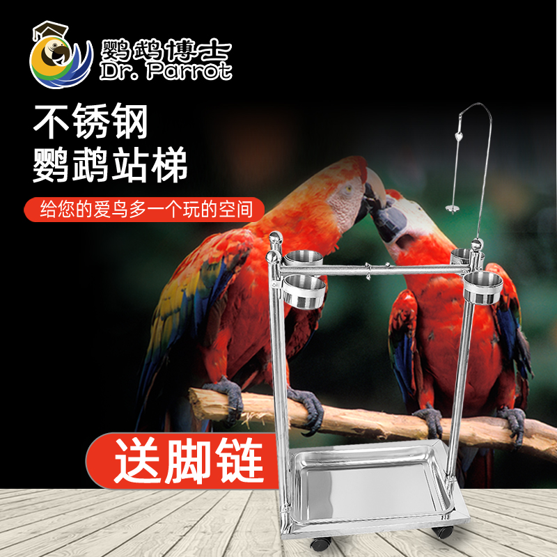 中大型鹦鹉升降架不锈钢站架中小型鹦鹉站架脚链鸟磨爪站棒可升降