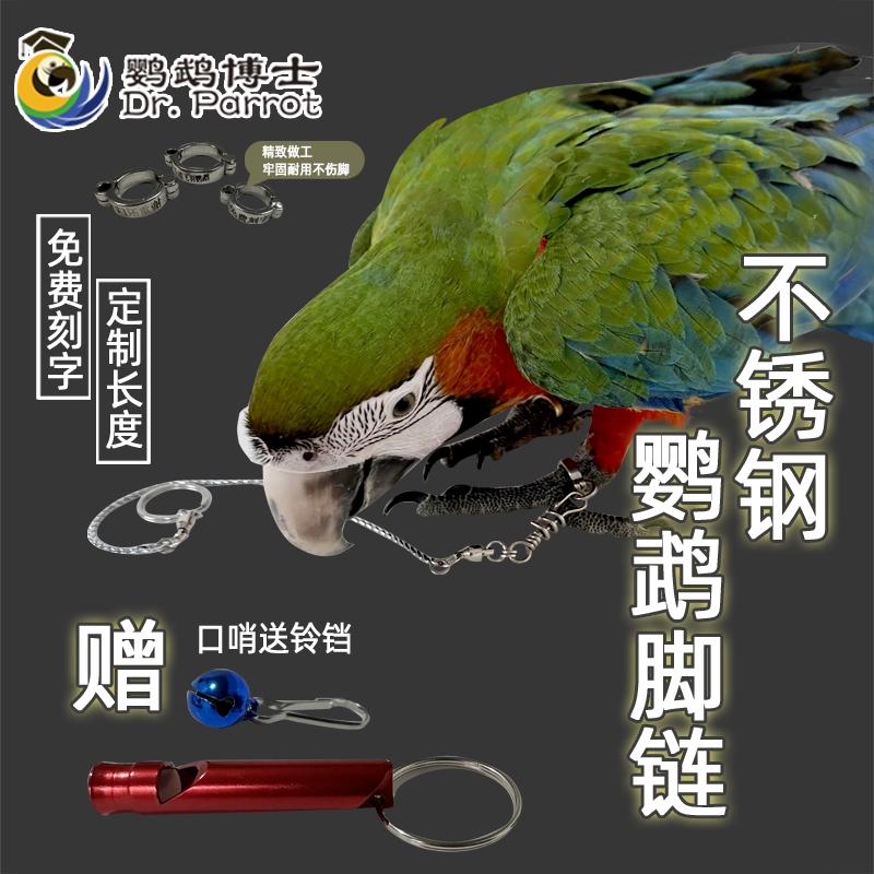 鹦鹉脚环脚链不锈钢鸟链子虎皮八哥牡丹玄凤鸟站架放飞绳免费刻字
