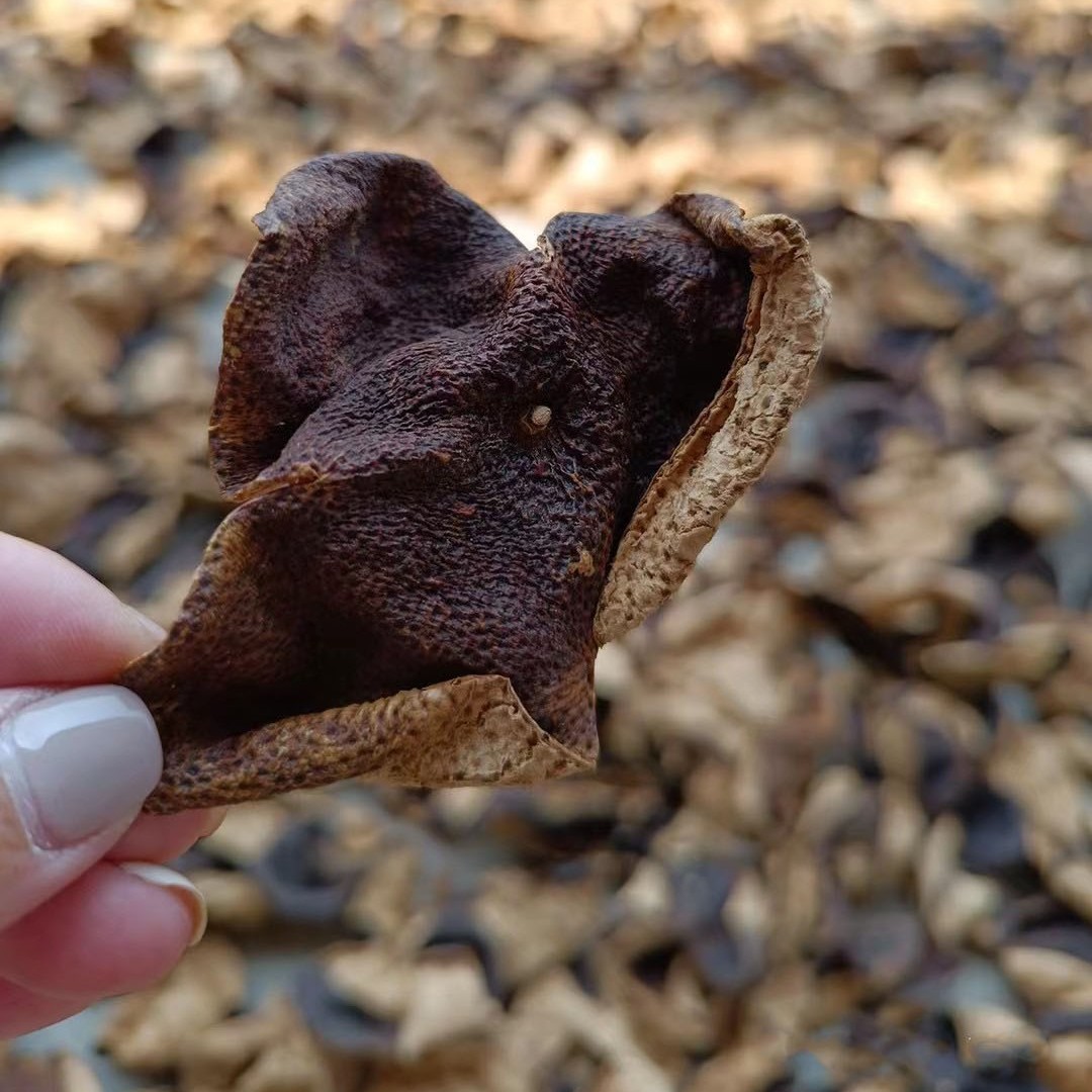 十年新会老陈皮500g克老陈皮干泡茶煲汤陈皮茶水地道生晒新会特产