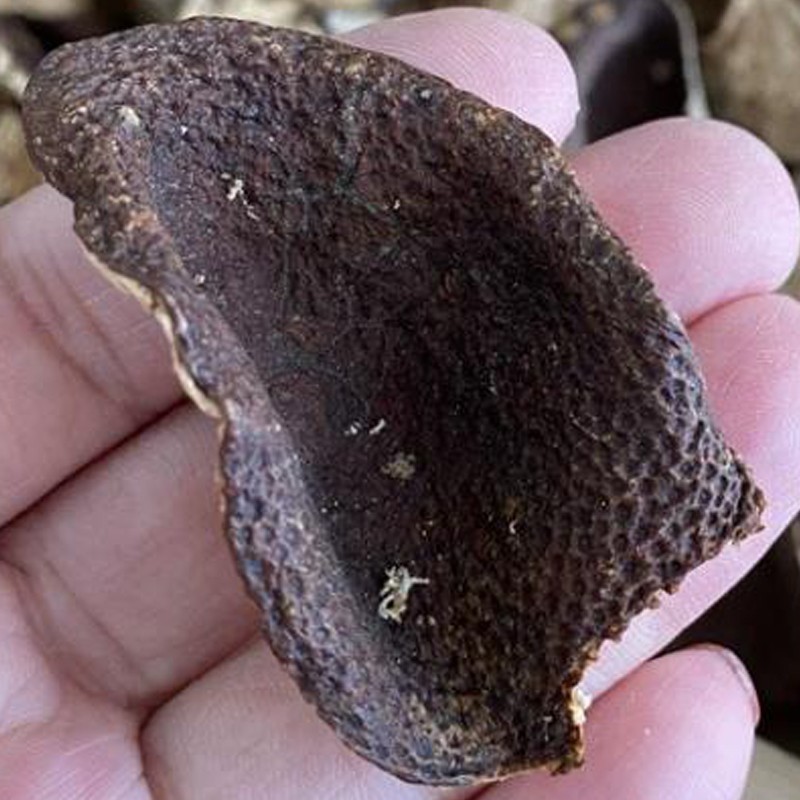 包邮8年正宗新会特产陈皮碎精选100g大红老陈皮干单片泡水礼品装