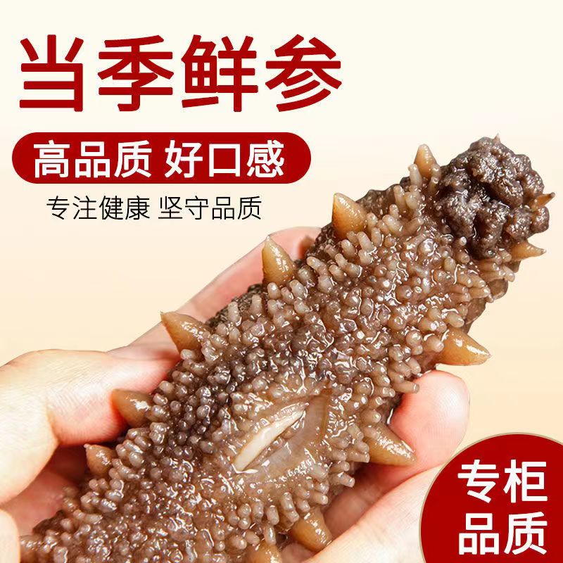 新年抢鲜购 299到手一斤 即食海参  营养丰富 送礼佳品开袋即食