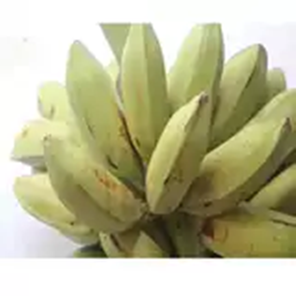 大芭蕉约500g/份