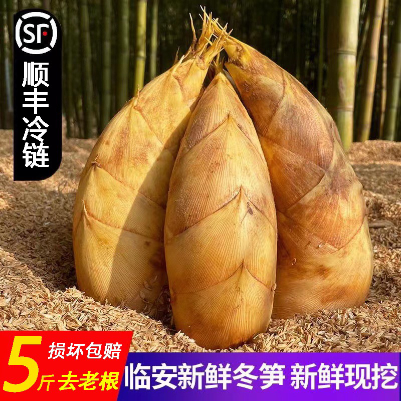 【顺丰包邮】浙江临安冬笋楠竹笋天目山深山生长新鲜现挖3斤装/起