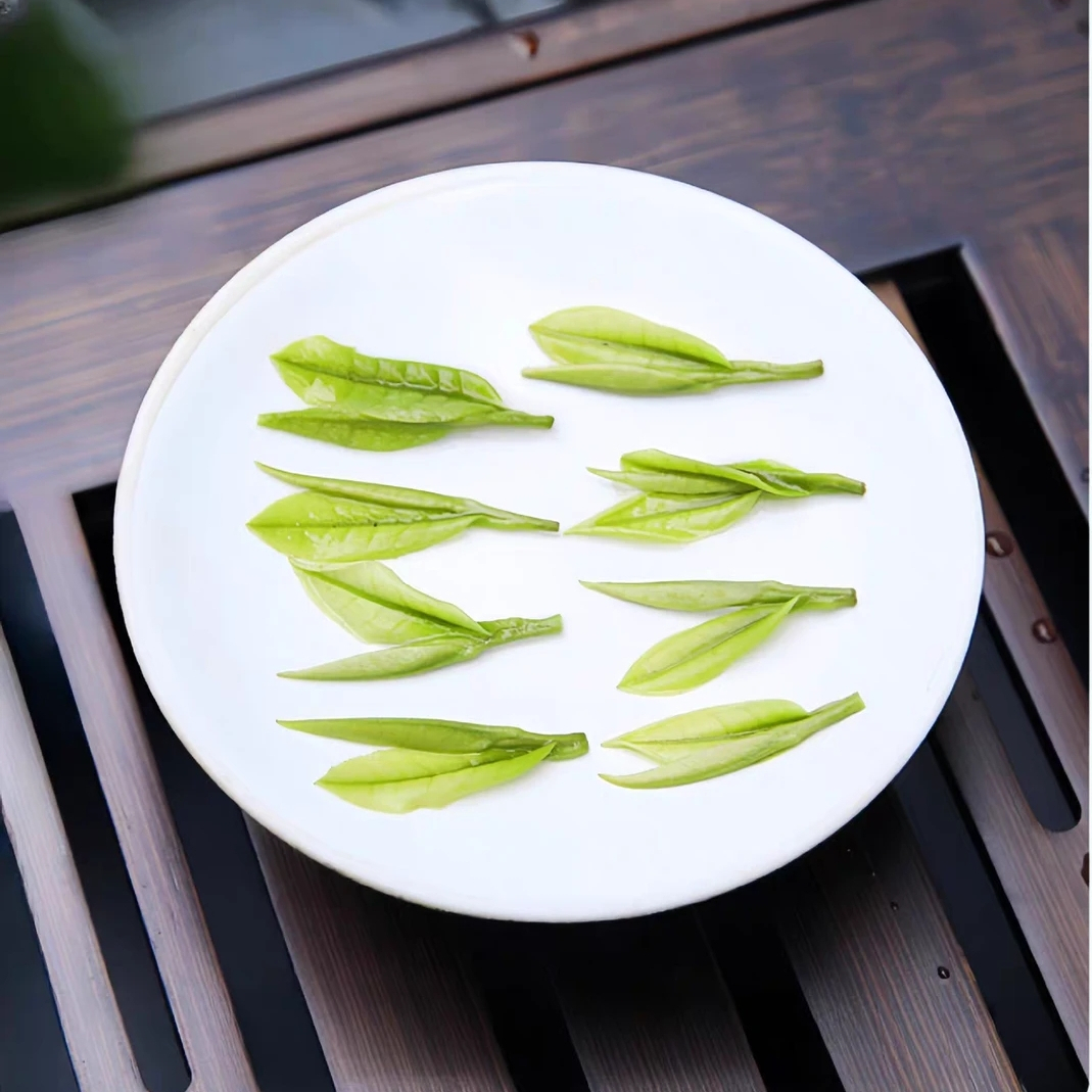 2025 安吉【花果香】 白茶