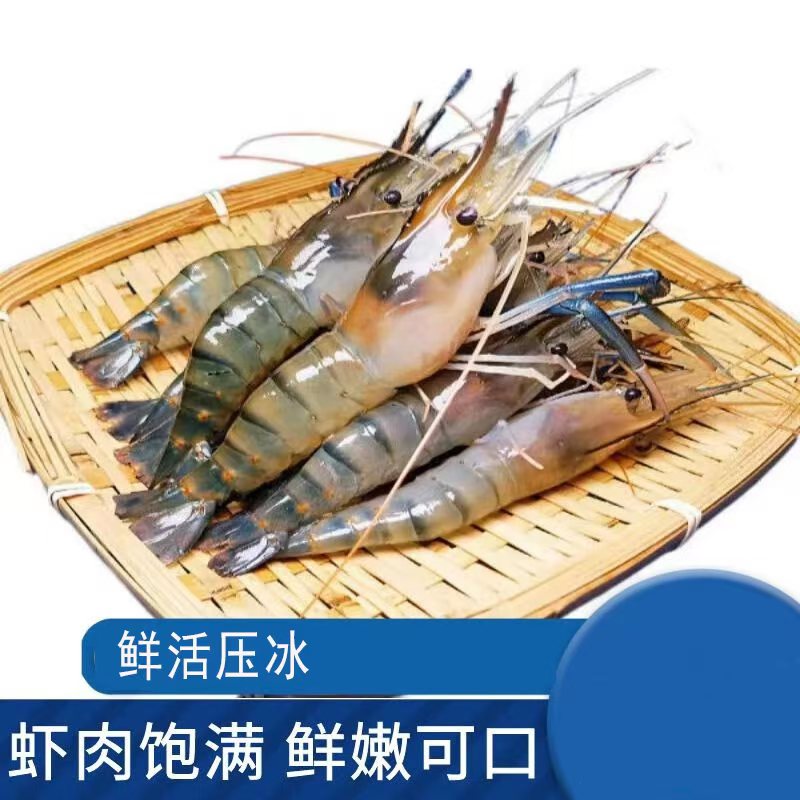 鲜活罗氏虾大头虾海鲜淡水虾河虾肉质干净硬膏活发包鲜不包活
