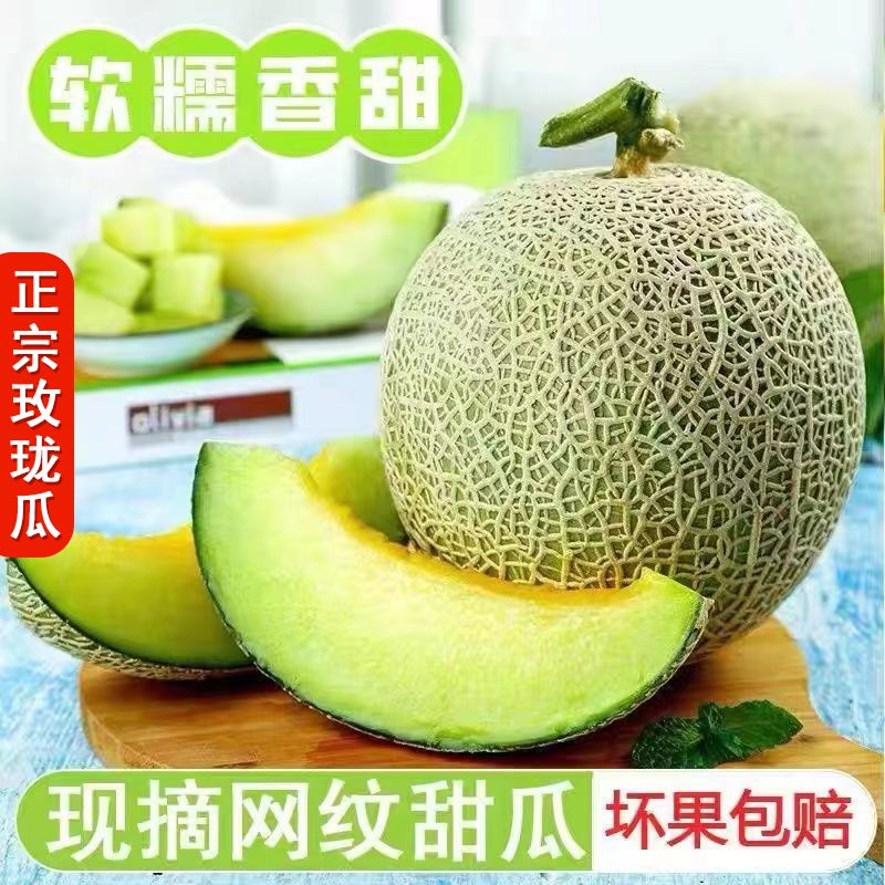 现摘网纹瓜海南玫珑瓜正宗当季甜瓜冰淇淋蜜瓜新鲜水果香甜脆浓郁