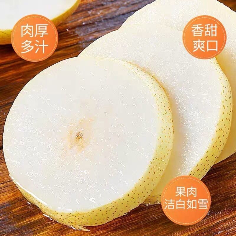 安徽砀山梨正宗百年老树新鲜清香薄皮当季水果天然原味梨园产香甜