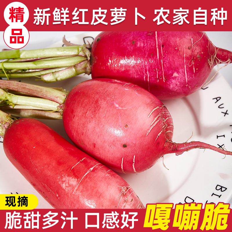 湖北露天老品种红皮萝卜清甜凉拌炖汤泡萝卜