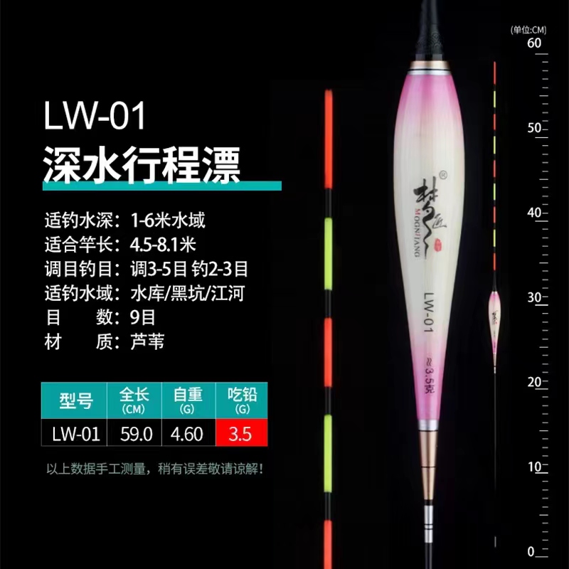 60cm芦苇大物电子漂大鱼夜光漂鲢鳙浮漂醒目硬尾夜钓鱼漂