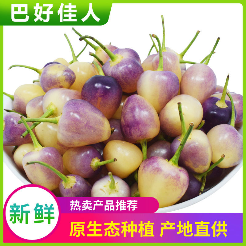 广西特产五彩椒珍珠灯笼泡椒酱香味七彩泡椒下饭菜酱菜腌制辣椒