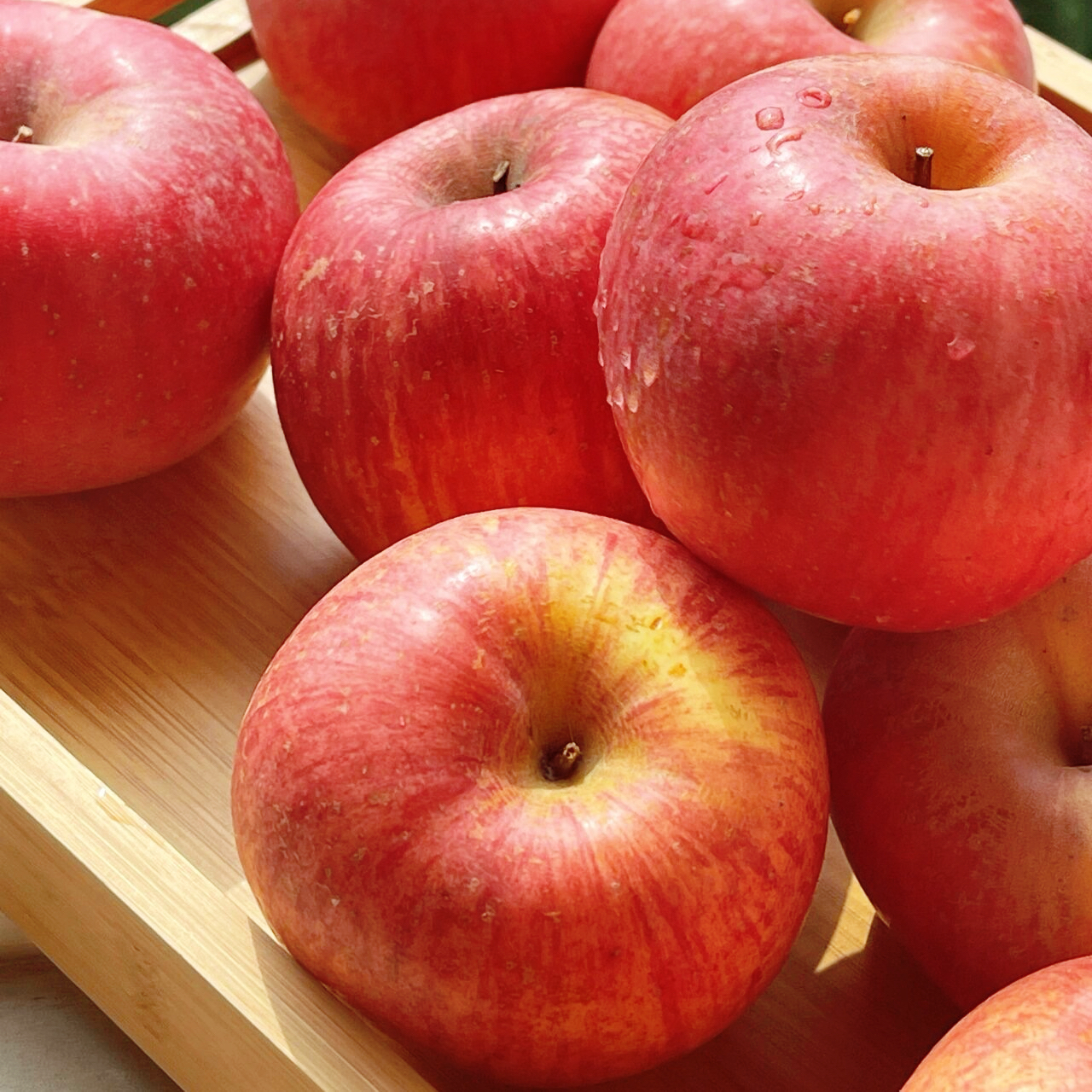 【夏至自家】山东烟台栖霞红富士苹果！没错是小熊姑父的店！！