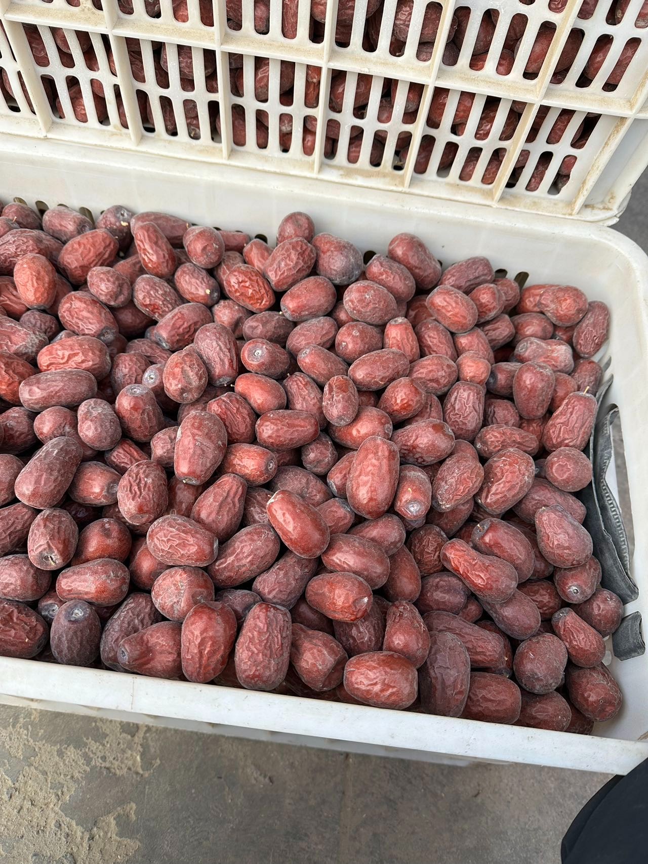 【试吃装】和田大枣二级三级【三斤一箱】包邮【干硬介意勿拍】