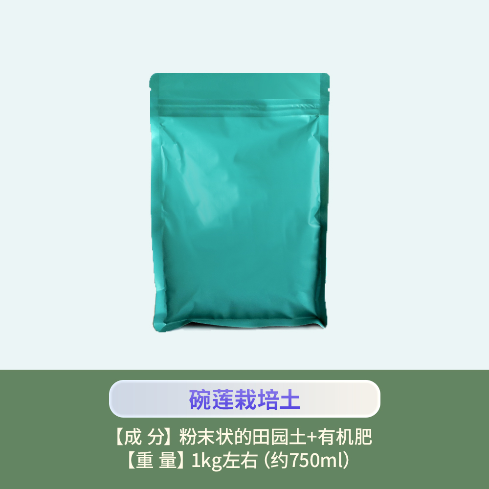 海蒂的花园碗莲圆形盆水培碗莲土种植植物花卉造景圆型盆阳台花盆