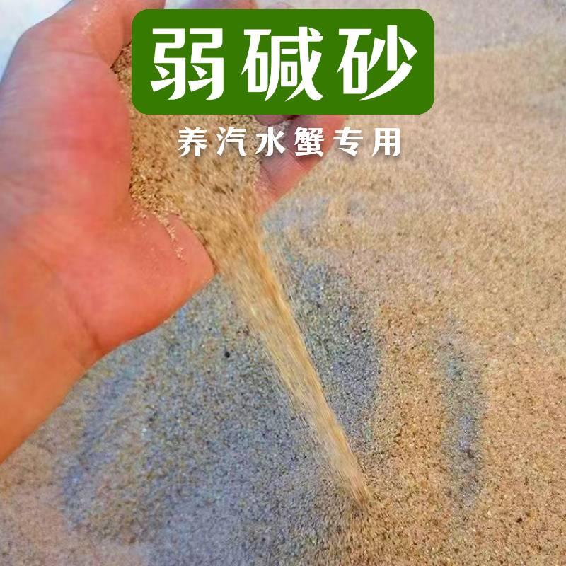 天然贝壳沙相手蟹辣椒蟹专用沙鱼缸造景寄居蟹底砂调节水质化妆沙