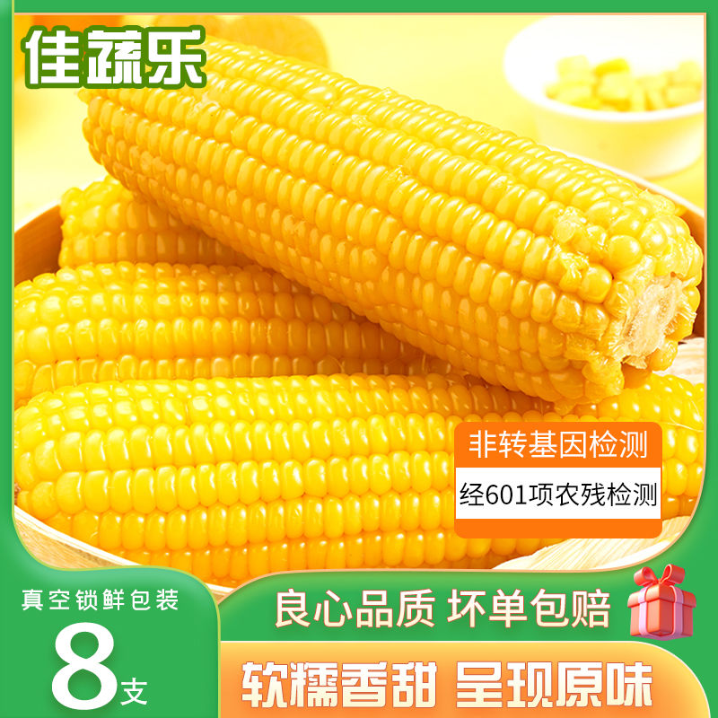 佳蔬乐敖汉沙土地619黄糯玉米新鲜营养真空包装2025现摘