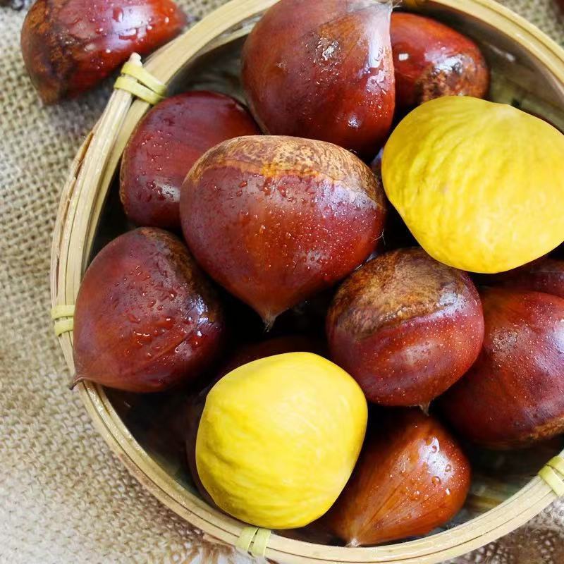 农家采摘野生板栗【仅限每人一单.多拍只发一单】