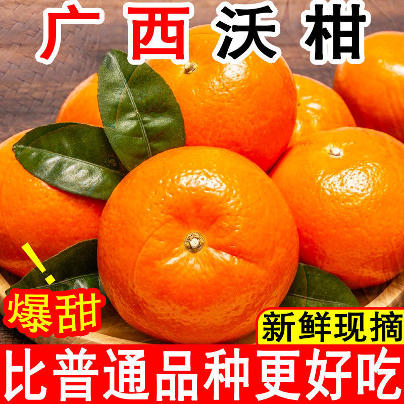 【超低价】广西武鸣沃柑1/5/9斤新鲜当季水果超甜薄皮桔子整箱批发