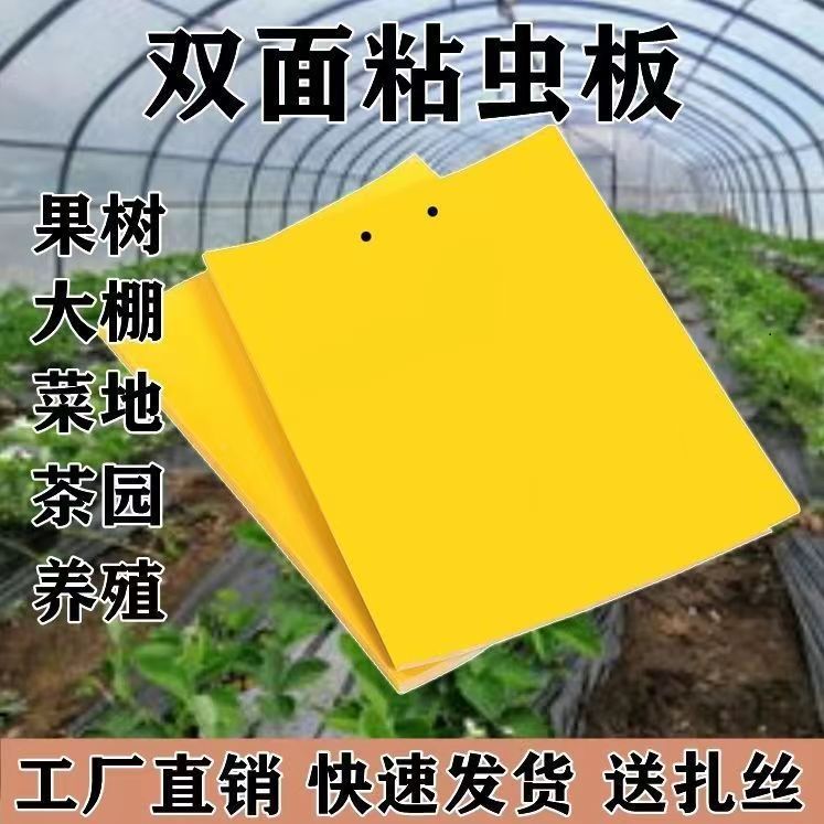 加厚黄色双面粘虫板诱虫蝇诱捕器粘苍蝇板加厚粘蝇板粘板灭蚊环保