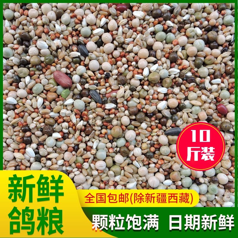 包邮鸽粮10斤装基础鸽粮营养饲料鸟食信鸽观赏鸽肉鸽粮鸽子食