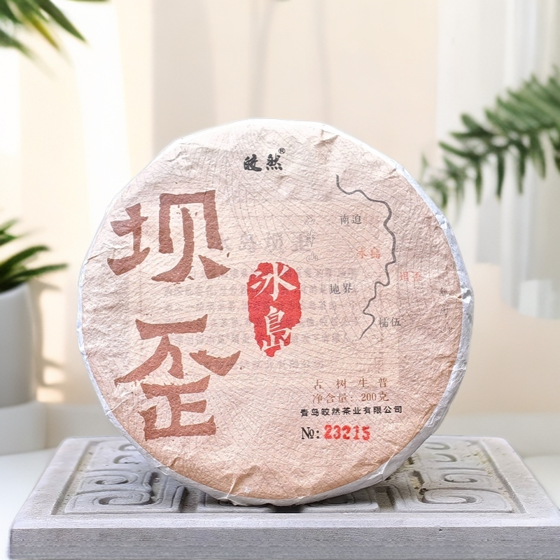 【坝歪】普洱生茶 冰岛生态 2023年新茶 云南古树普洱生茶 花香 