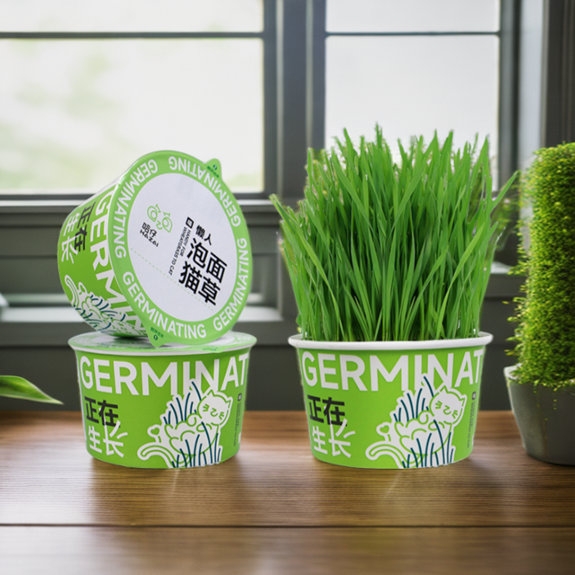 开盖优质猫草盆栽泡面猫草清新泡面猫草杯化毛草哈仔清新泡面猫草