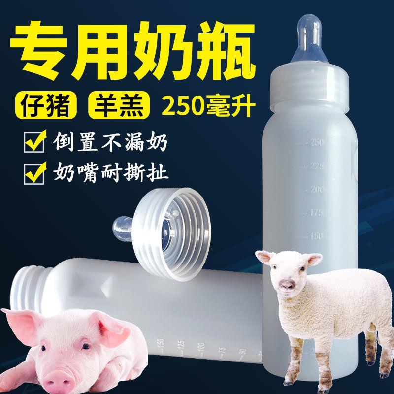 喂羊的奶瓶兽用牛羊用奶瓶宠物幼猫喂奶小猪吃奶神器仔猪奶壶羔羊