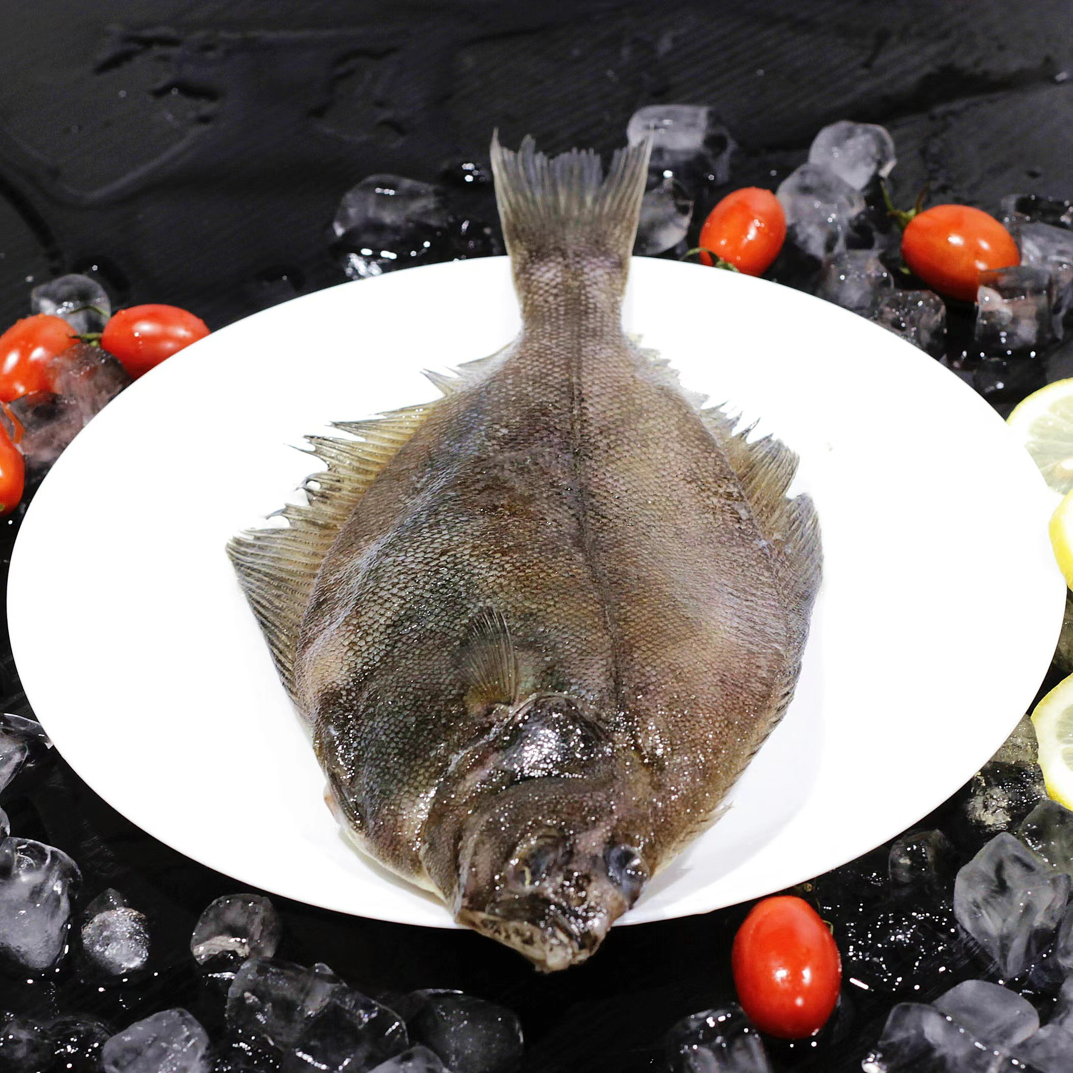 嗨渔宴偏口鱼大连本地偏口鱼自家渔船码头直发无冰装冷冻食用