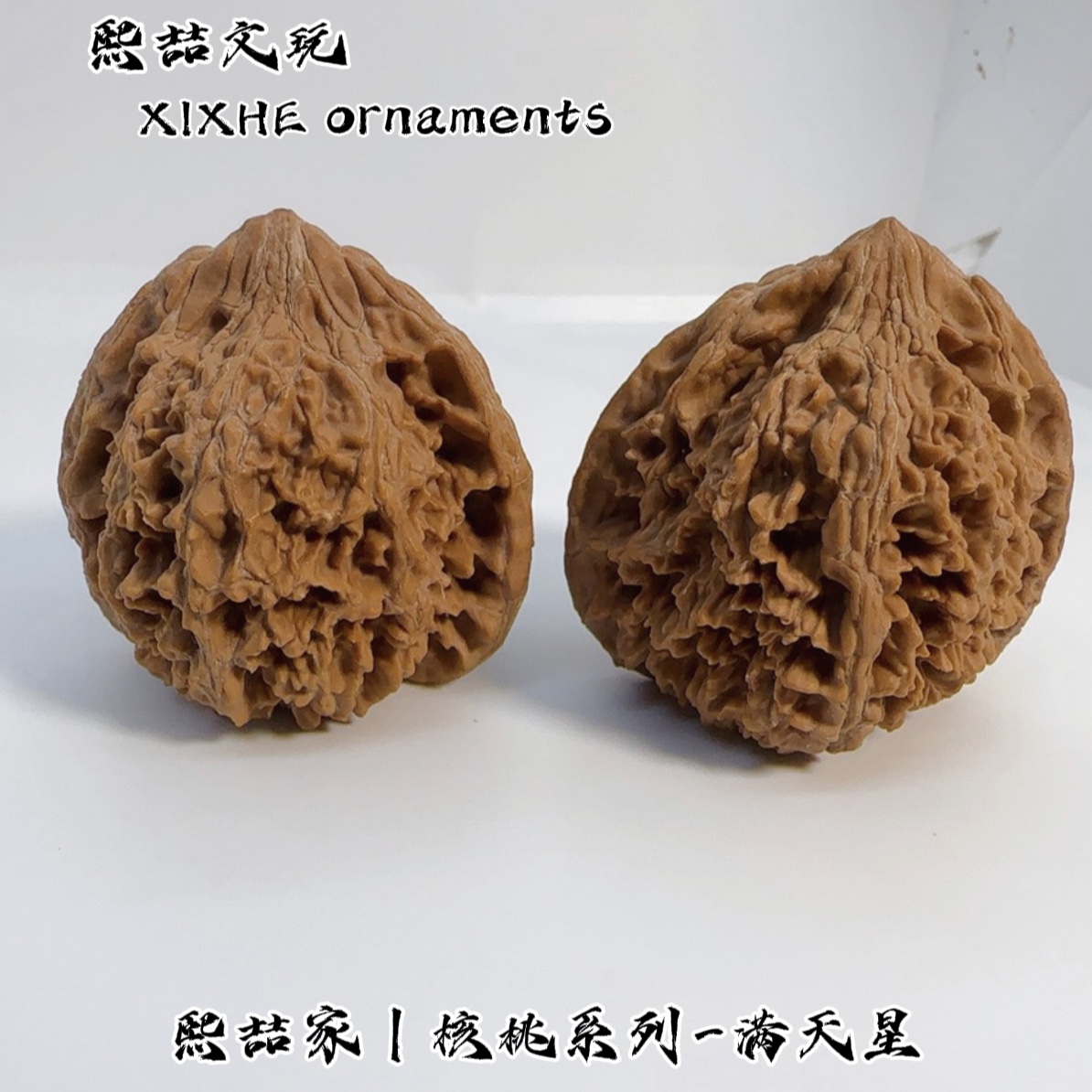 XIZHE出品｜核桃系列-满天星