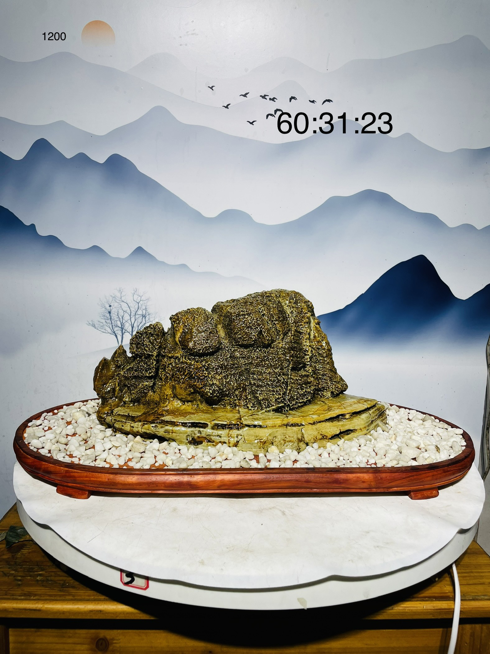 高端九龙壁切底山大型自然山观赏石