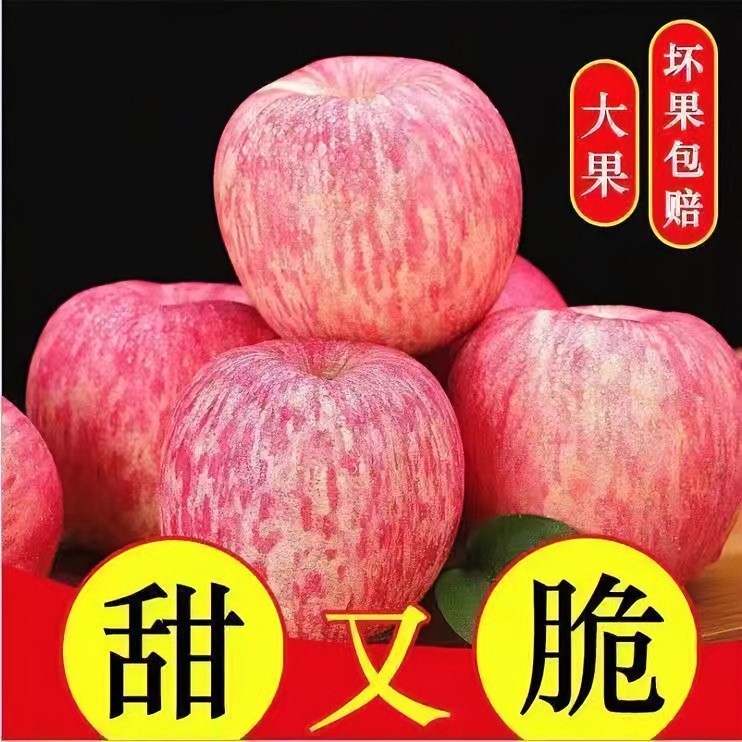 【拍5斤送5斤】烟台栖霞红富士苹果脆甜多汁新鲜果发到手带箱10斤