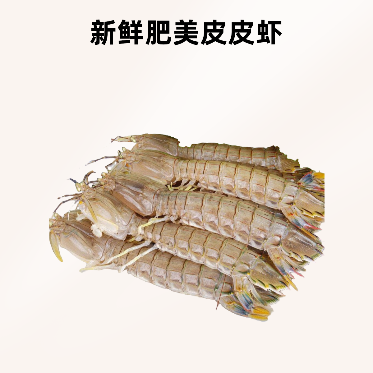 鲜活皮皮虾 约250g/500g 送椒盐一瓶收货有个别睡着的是正常的【好东西】