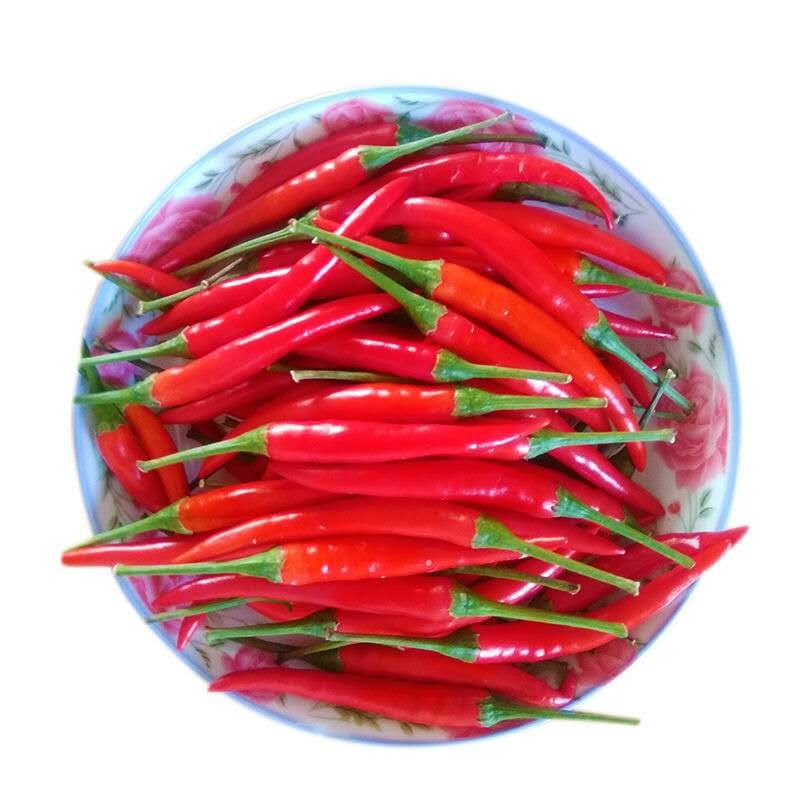 新鲜小米辣  约50g/份