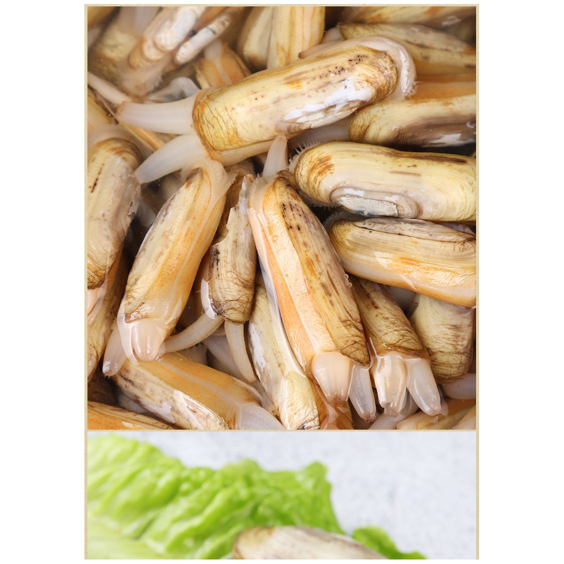鲜活蛏子约500g（已吐沙，个别可能有沙）