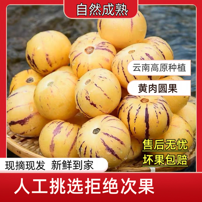 【石林树熟特大人参果】新鲜采摘发货清甜黄肉圆果应季水果农家产
