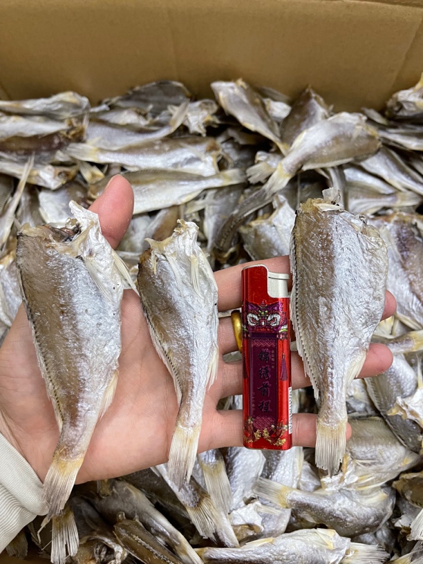 汕尾本港自晒划鱼干去头划鱼脯，微咸煮白菜炖萝卜蒸姜丝好好吃