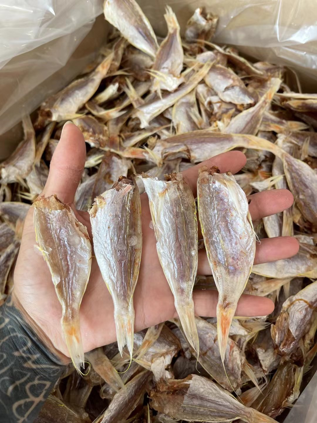 汕尾马宫本港自晒红杉鱼干，哥里脯淡口香煎好吃