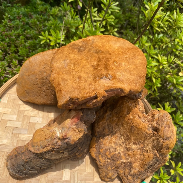 C【土特产桑】簧净含量250g-1500g