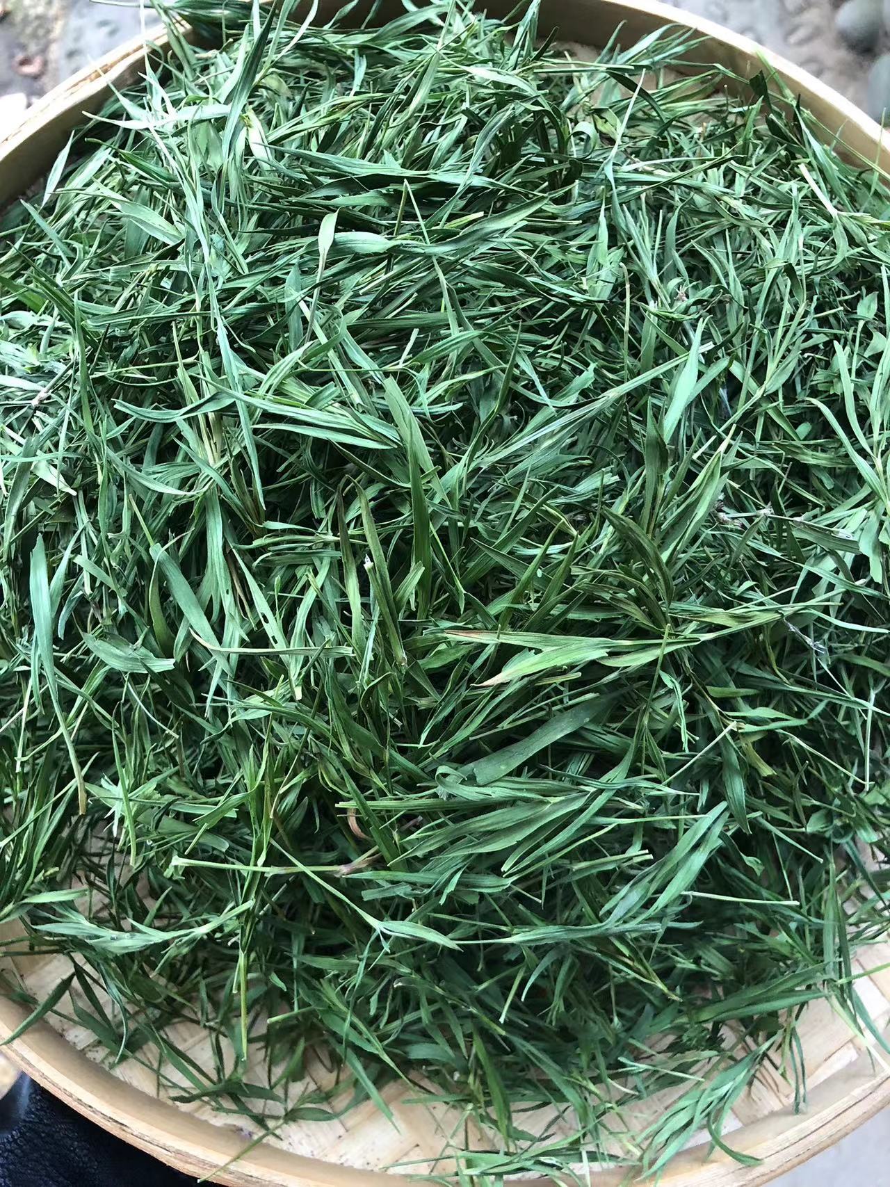 B【土特产】雪-域-冰-竹 净含量250g-500g