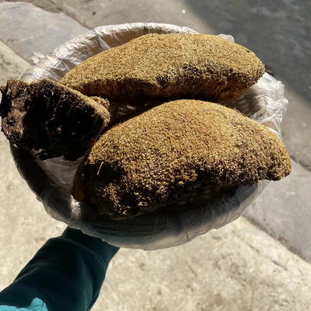 【现收】农家特产干货食用农产品——7——金丝灵