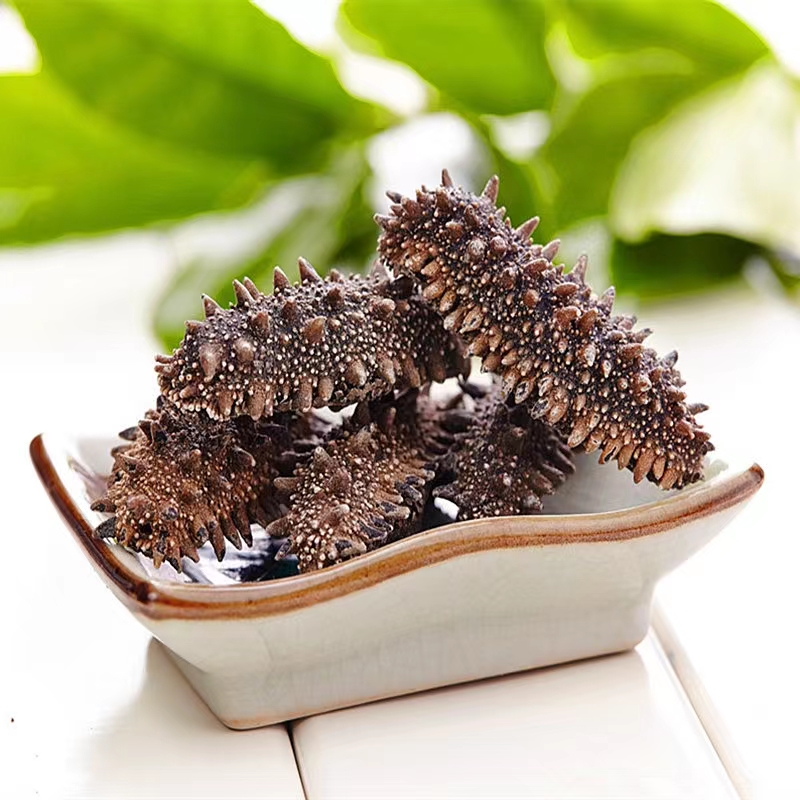 [开心精选] 萨哈林海参