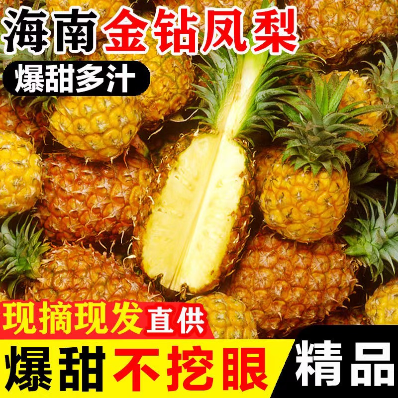 【正宗】海南金钻凤梨脆甜多汁孕妇新鲜水果手撕无眼菠萝大果包邮