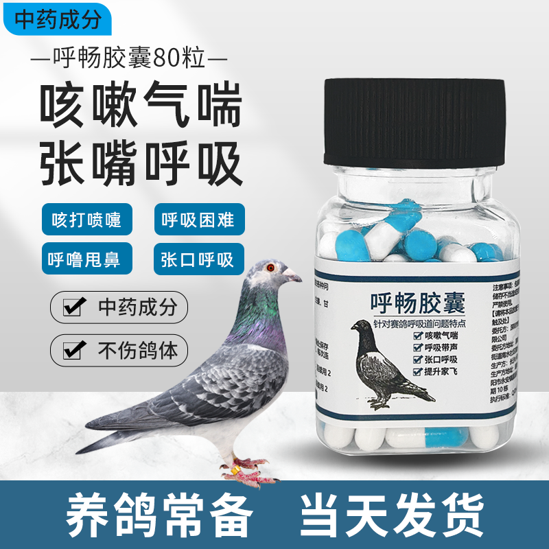 鸽子呼吸道感染专用气喘呼吸困难甩鼻带声清理上下呼吸道鸟大全