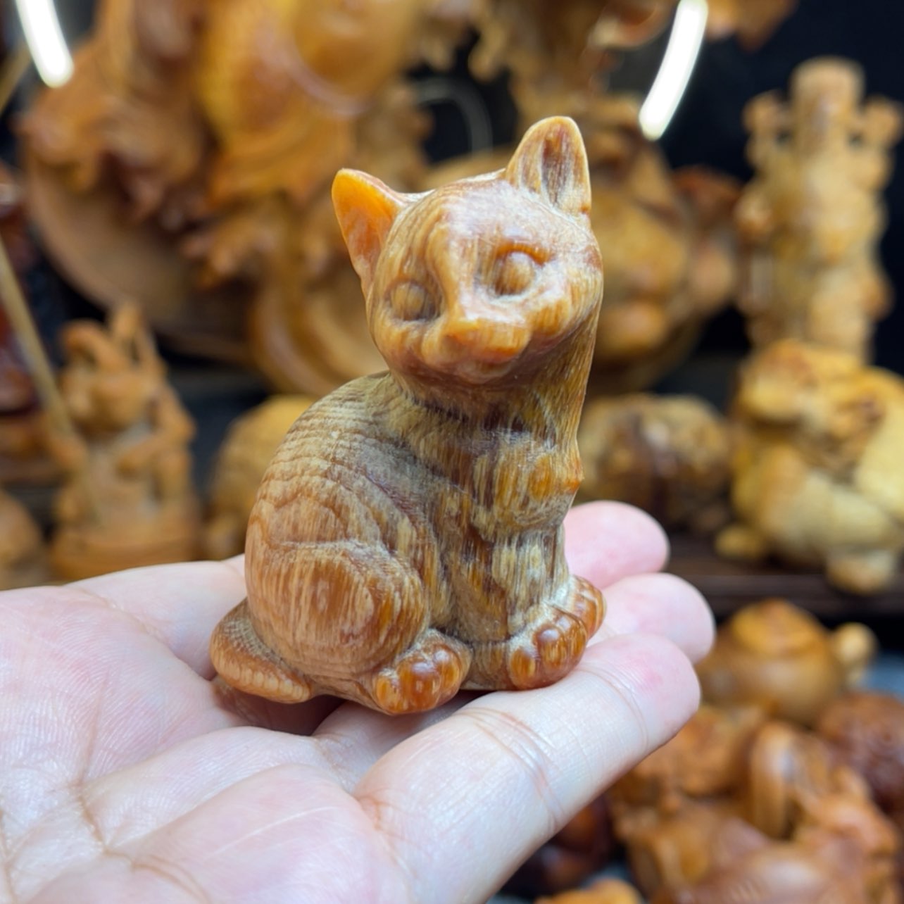 【闪购商品】琥珀木其他栋*猫