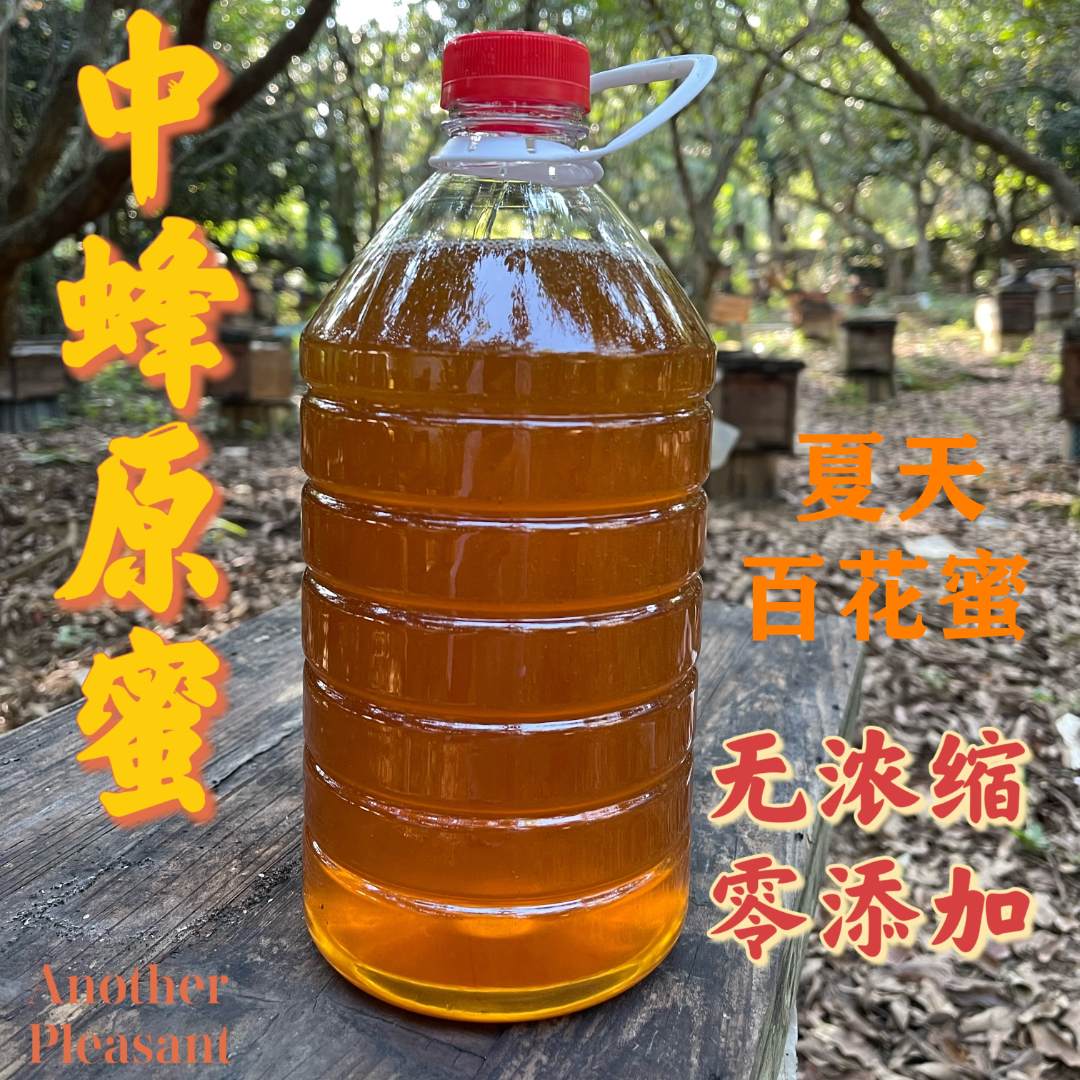 2025年新鲜正宗土蜂蜜中蜂夏天百花蜜原蜜