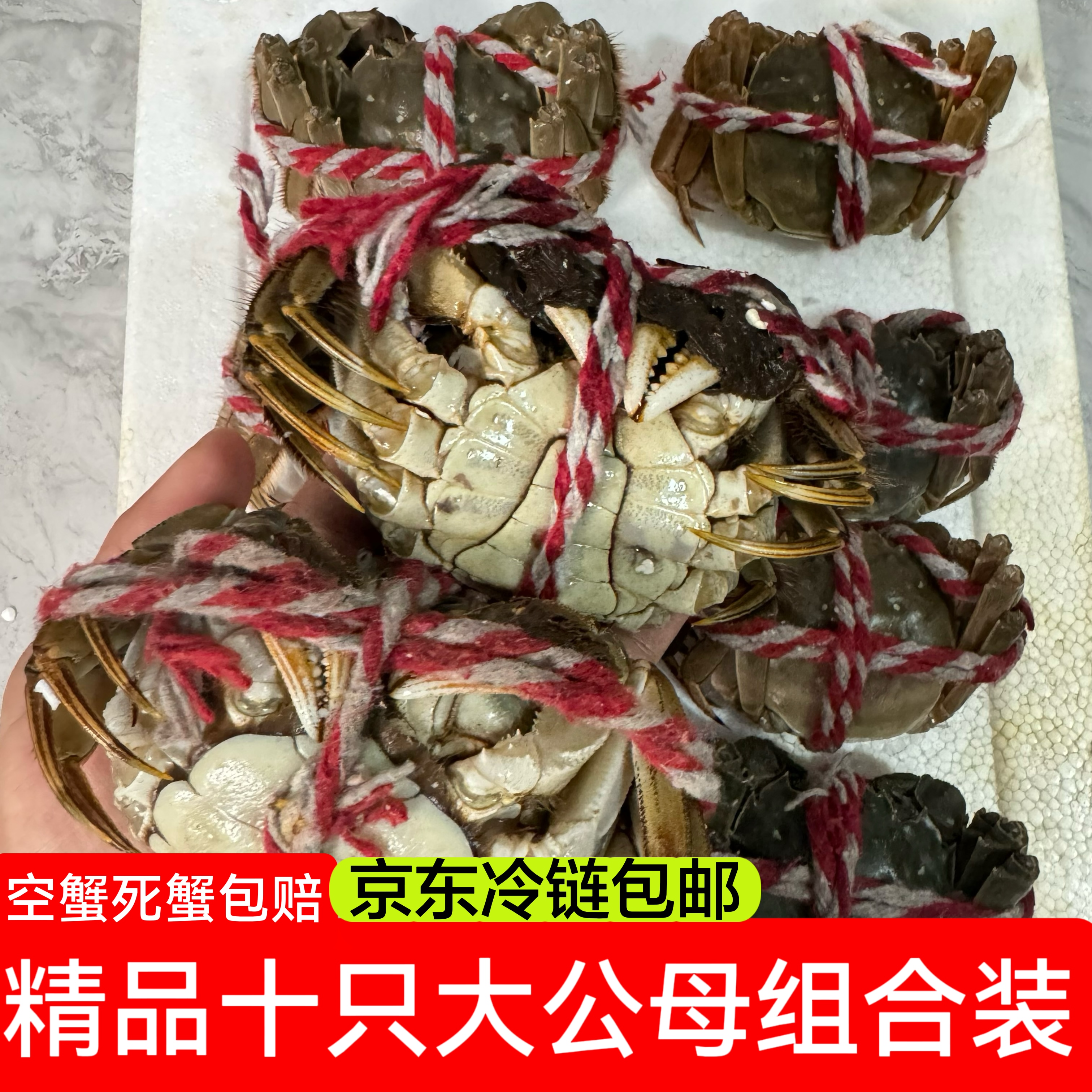 盘锦河蟹精品十只组合【母蟹（1.8-.2.1两）5只+公蟹（2.3-2.6两）5只】