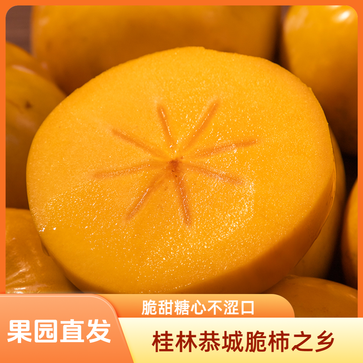 【整箱5斤9.9】当季正宗恭城脆柿子新鲜采摘巧克力柿子产地直发