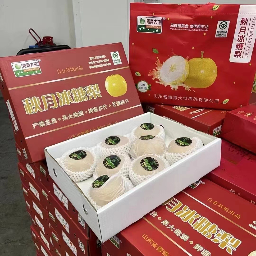 当季现货山东青青大地秋月梨整箱7斤礼盒装脆甜多汁发顺丰秋送礼