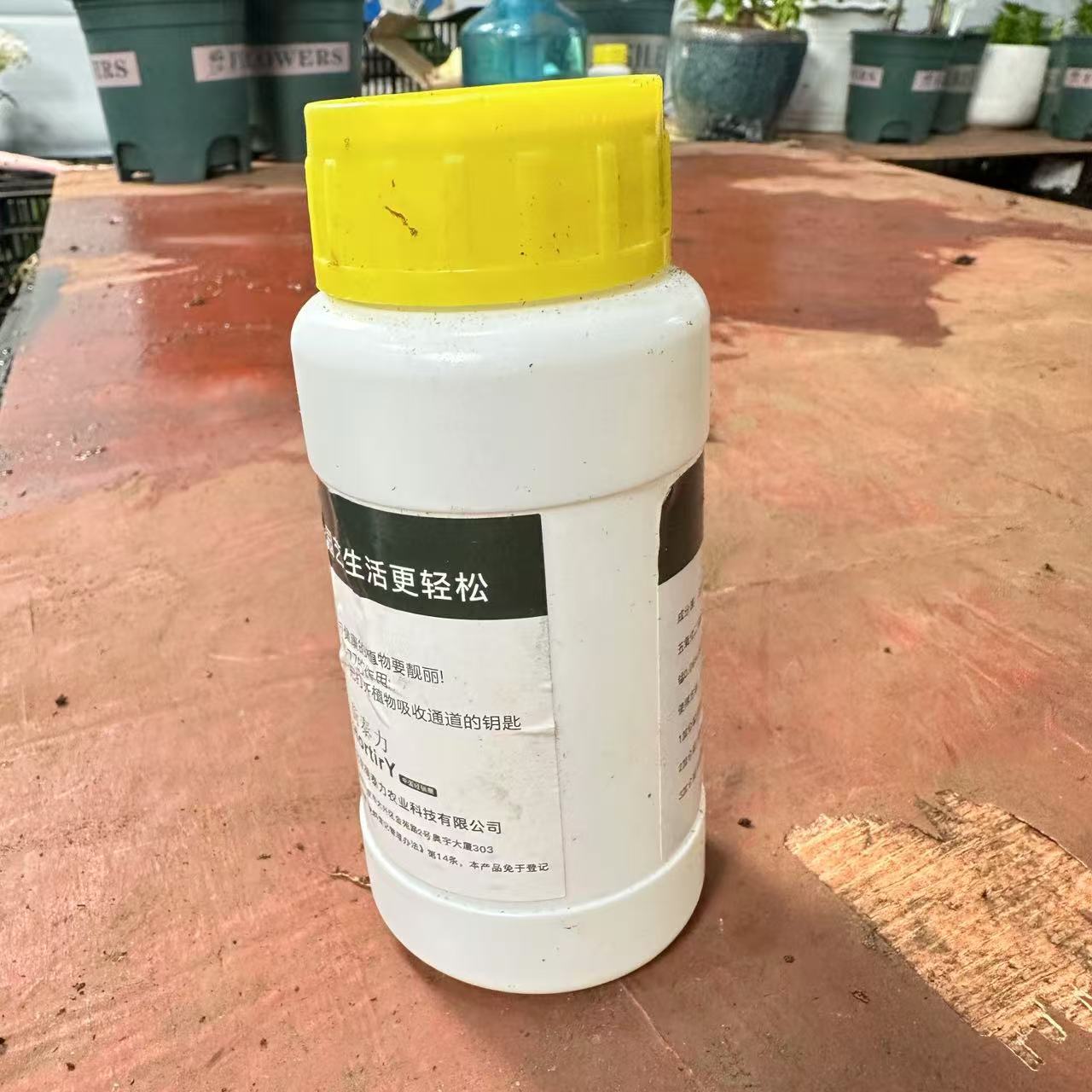 《花多多2号》进口水溶肥