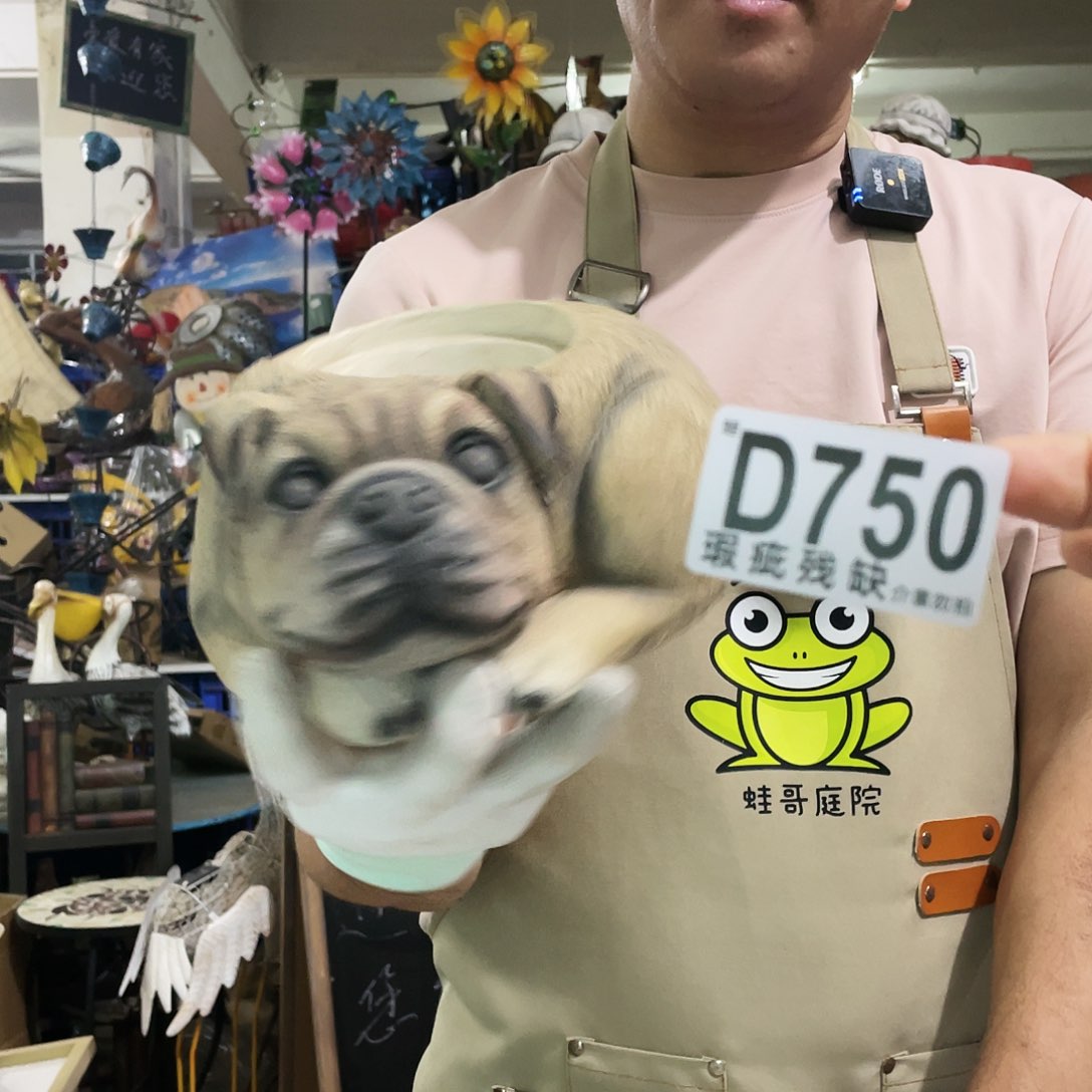 红陶蛙哥庭院中古