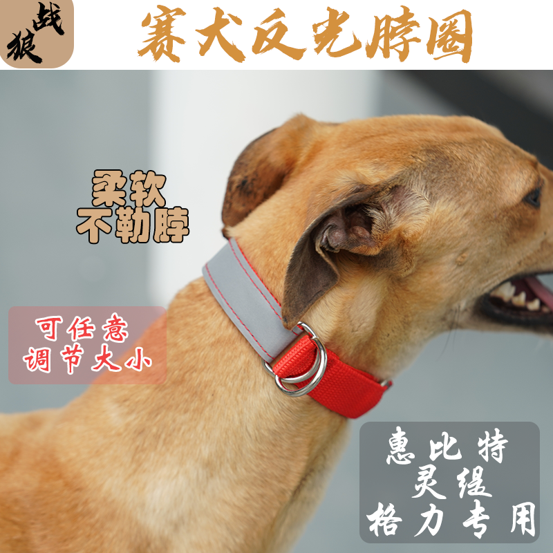赛犬反光均码脖圈大小可调节舒适加厚柔软不伤脖帆布结实材质耐磨